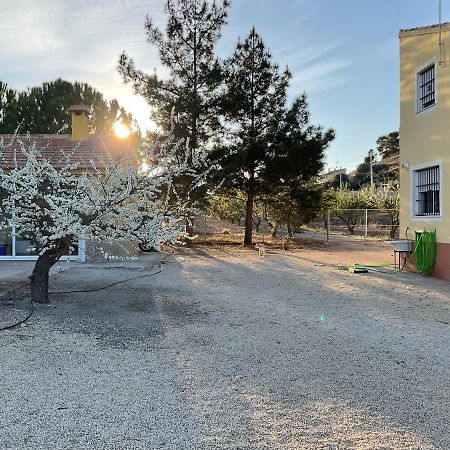 La Antigua Casa Del Astronomo Casa Rural Ricote Exteriér fotografie