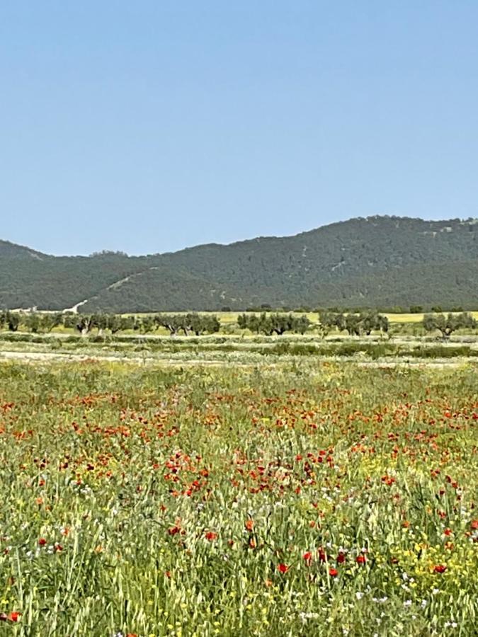La Antigua Casa Del Astronomo Casa Rural Ricote Exteriér fotografie